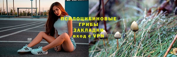 тгк Армянск