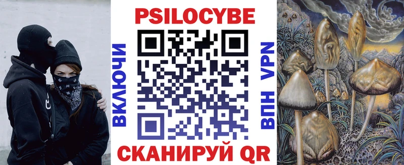 где можно купить ОМГ ОМГ tor Галлюциногенные грибы Psilocybe Рыбное
